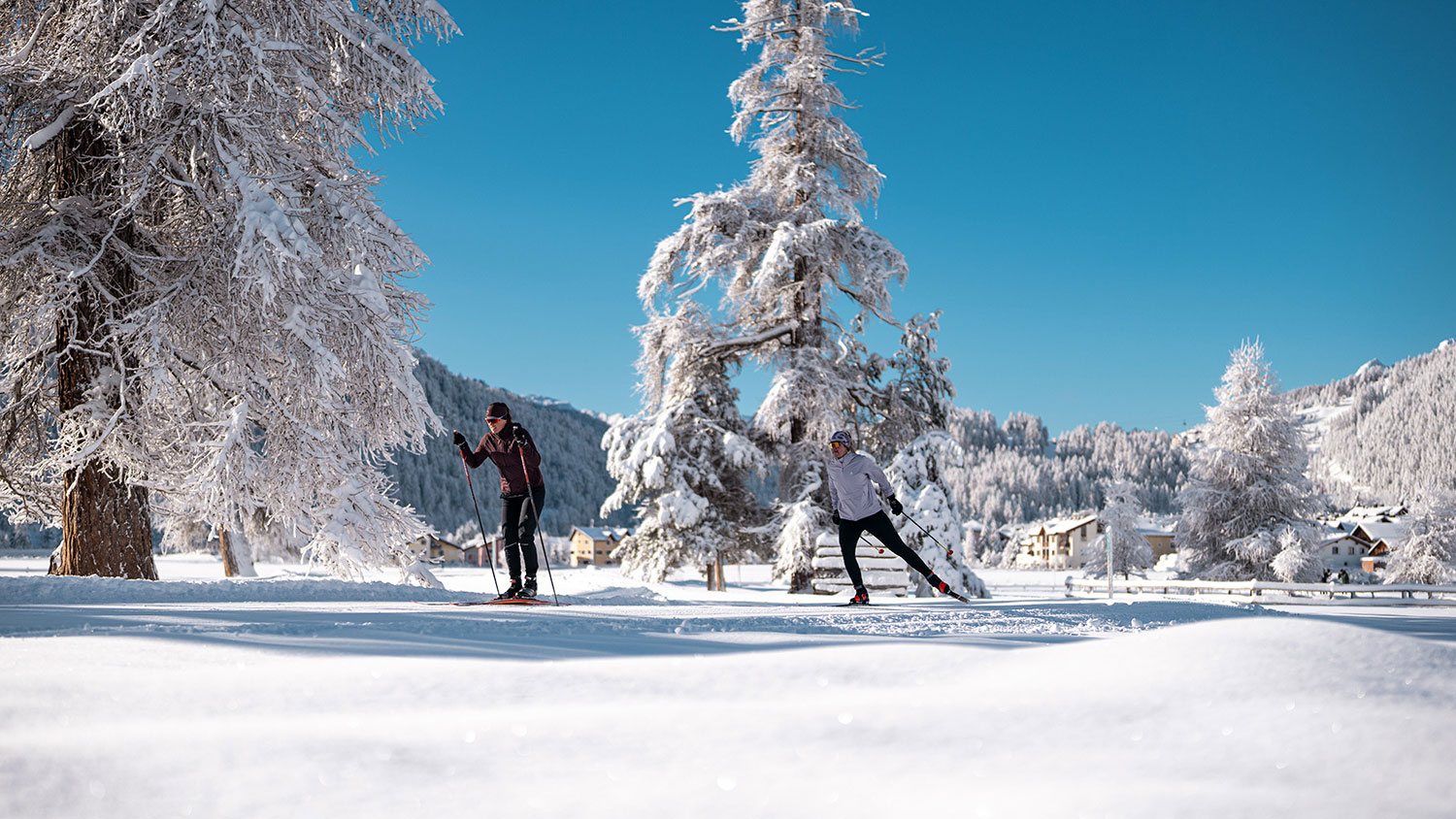 Weitlanglaufen Engadin - Langlauf-Erlebnis inkl. Gepäcktransport