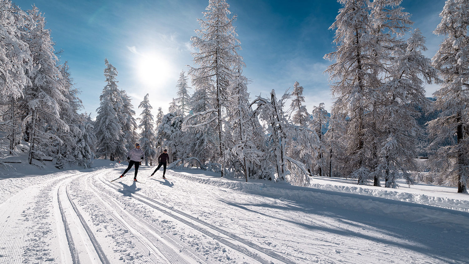 Weitlanglaufen Engadin - Langlauf-Erlebnis inkl. Gepäcktransport