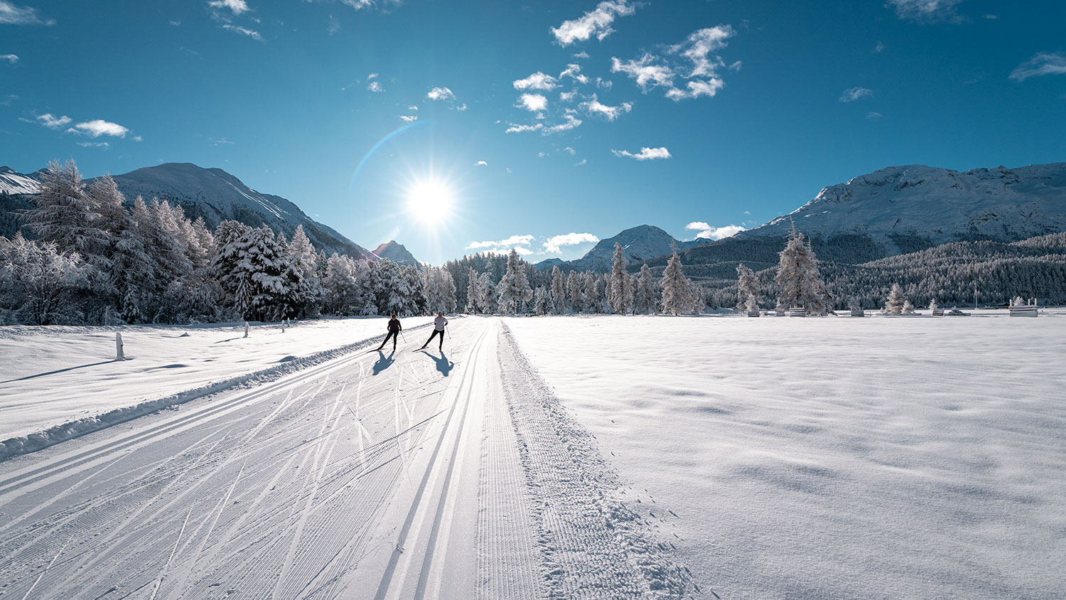 Weitlanglaufen Engadin - Langlauf-Erlebnis inkl. Gepäcktransport
