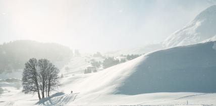 Tour Explorer Winter Tour Explorer Winter