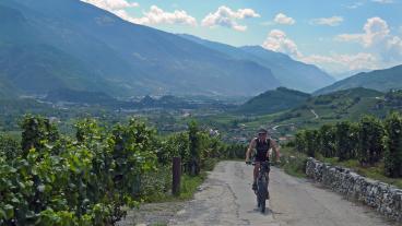 Top of Wallis, Sierre