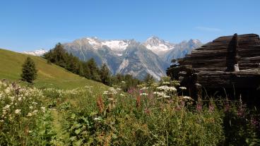 Top of Oberwallis, Moosalp