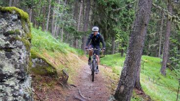 Top of Wallis, Les Collons