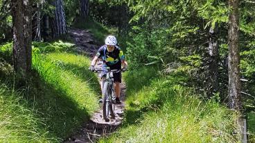 Top of Surselva - neu aufgelegt, Flimserwald