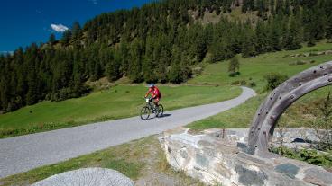 Nationalpark-Tour, Nähe Ardez