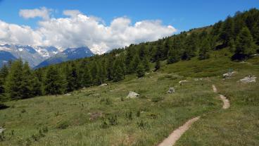 kurz vor dem Gibidum-Pass