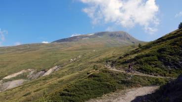 Torrent Trail