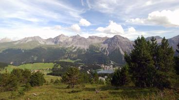 Arosa