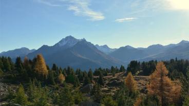 Trailrunnin Surses, Zusatzrunde Savognin Nähe Motta Palousa