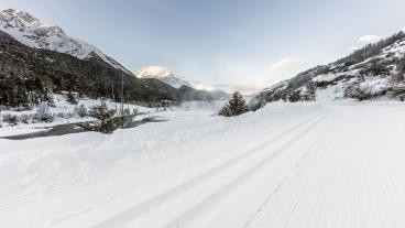 Weitlanglaufen Engadin