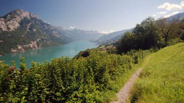 Blick auf den Walensee, Sardona-Weg, Tour Explorer