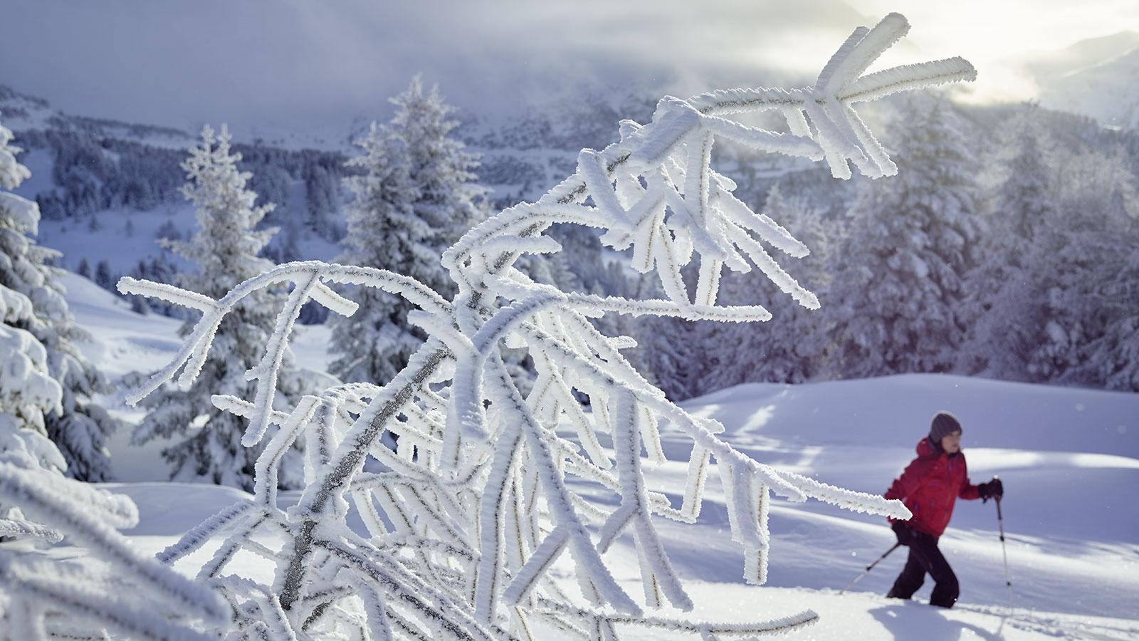Schneeschuh-Safari Graubuenden Schneeschuh-Safari Graubuenden