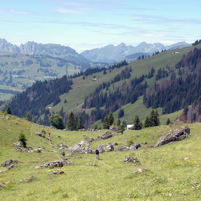 Top of Berner Oberland, Stiereberg Top of Berner Oberland, Stiereberg