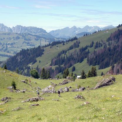 Top of Berner Oberland,  Stiereberg