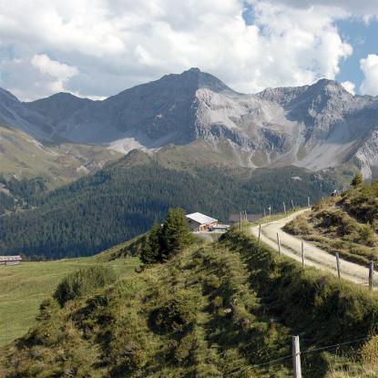 Grischatrail, Roter Tritt