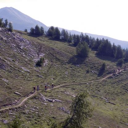 Unterwegs auf dem Torrenttrail