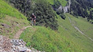 Top of Heidiland - Laubegg-Trail