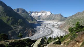 Aletsch Arena: Aletschgletscher © Riederalp Moerel Tourismus Byline: swiss-image.ch