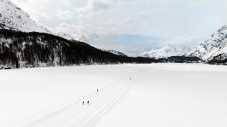 Langlaufen im Engadin zwischen Maloja und Pontresina